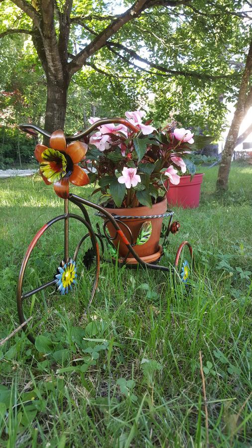 Bed and Breakfast Le Saule Reveur Die Exterior foto